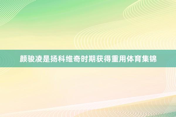 颜骏凌是扬科维奇时期获得重用体育集锦