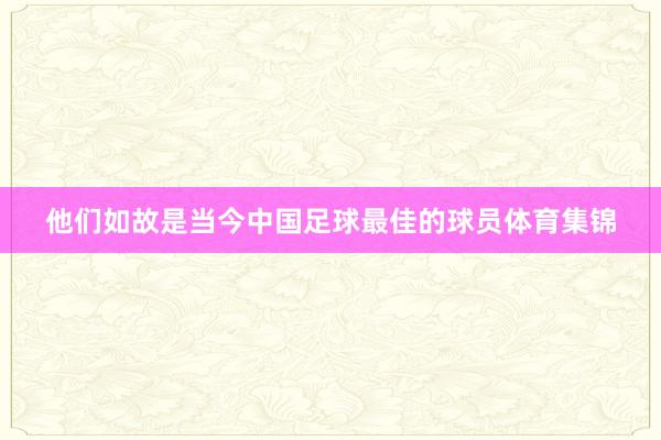 他们如故是当今中国足球最佳的球员体育集锦