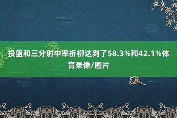 投篮和三分射中率折柳达到了58.3%和42.1%体育录像/图片