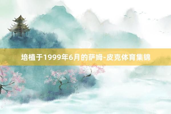 培植于1999年6月的萨姆-皮克体育集锦