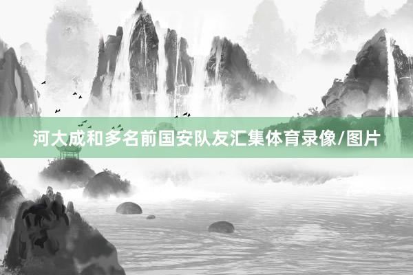 河大成和多名前国安队友汇集体育录像/图片