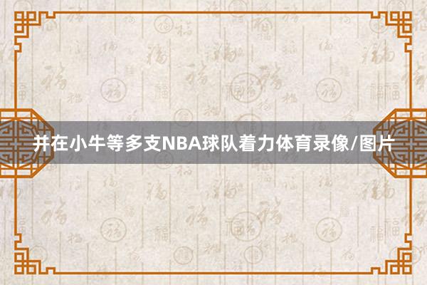 并在小牛等多支NBA球队着力体育录像/图片