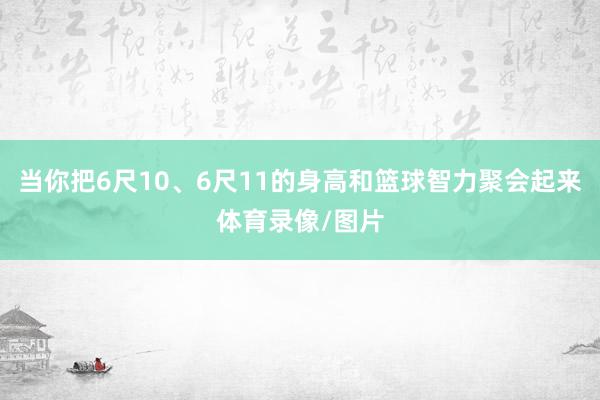 当你把6尺10、6尺11的身高和篮球智力聚会起来体育录像/图片