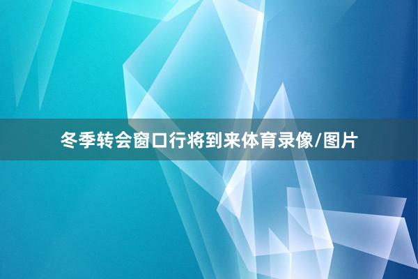 冬季转会窗口行将到来体育录像/图片